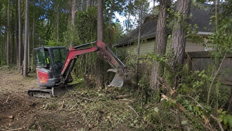 tree-sapling-removal